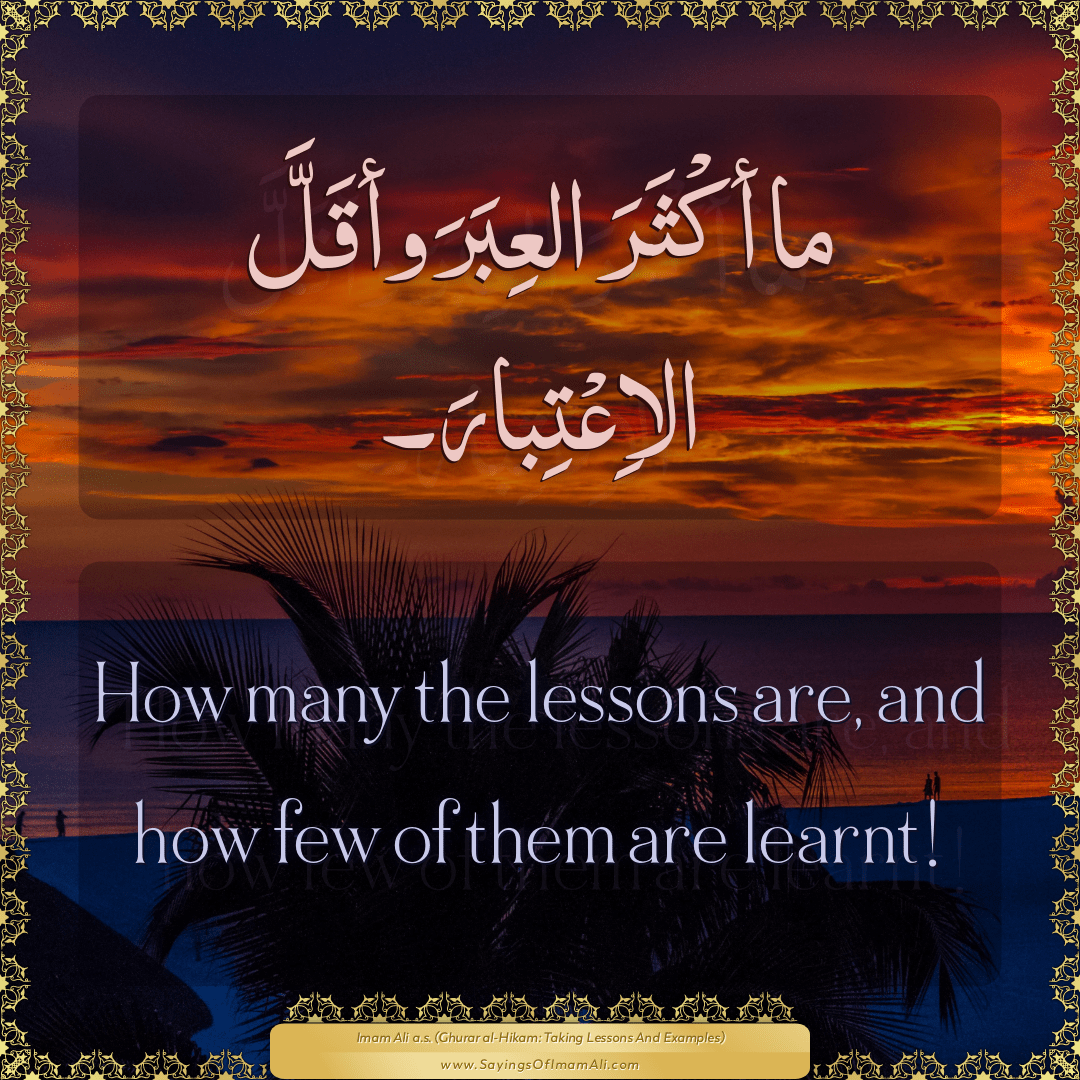 How many the lessons are, and how few of them are learnt!